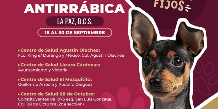 EMPRENDERÁ SECRETARÍA DE SALUD CAMPAÑA DE VACUNACIÓN ANTIRRÁBICA CANINA Y FELINA&nbsp;