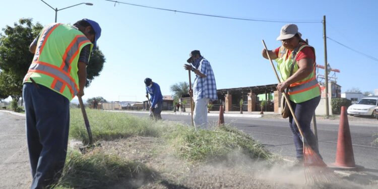 Limpia Servicios Públicos 1.5 kilómetros de camellones y cubren 350 baches en la ciudad