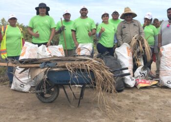 Participa Servicios Públicos en limpieza de humedales en el Mogote Ensenada de La Paz