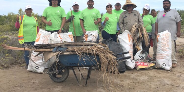 Participa Servicios Públicos en limpieza de humedales en el Mogote Ensenada de La Paz