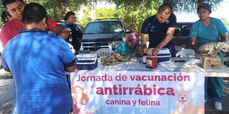 Realiza CEMAC la segunda etapa de Jornadas de Vacunación Antirrábica