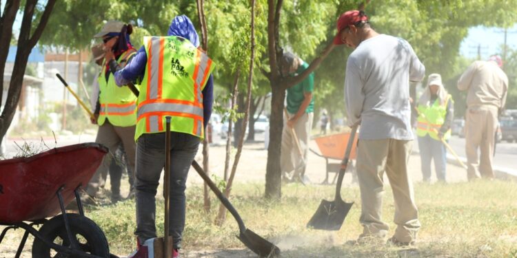 Realiza Servicios Públicos 1.2 kilómetros de deshierbe de camellones en bulevares