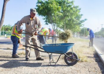 Realiza Servicios Públicos limpieza de 3 kilómetros de camellones