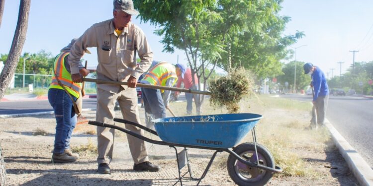 Realiza Servicios Públicos limpieza de 3 kilómetros de camellones
