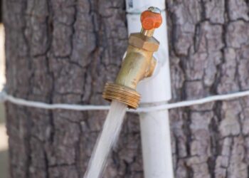 Se abastecieron 106 colonias con agua potable por red, el 4 de septiembre: OOMSAPAS La Paz