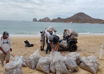 Se realizó el retiro de 12 toneladas de residuos sólidos en las playas del municipio, equivalente a 61 mil 657 bolsas.