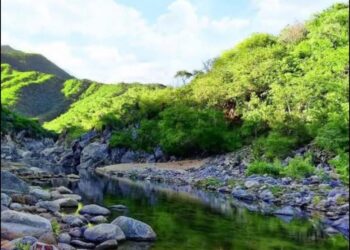 Cada día más turistas prefieren visitar áreas naturales y con más espacios abiertos