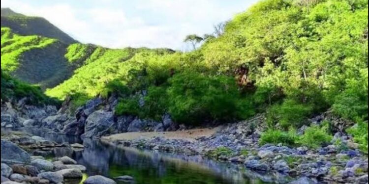 Cada día más turistas prefieren visitar áreas naturales y con más espacios abiertos