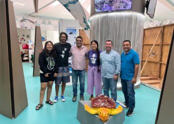 “Efectos de las luces artificiales en la anidación de tortugas marinas en Los Cabos, Baja California Sur: enfoque hacia una gestión turística sostenible”
