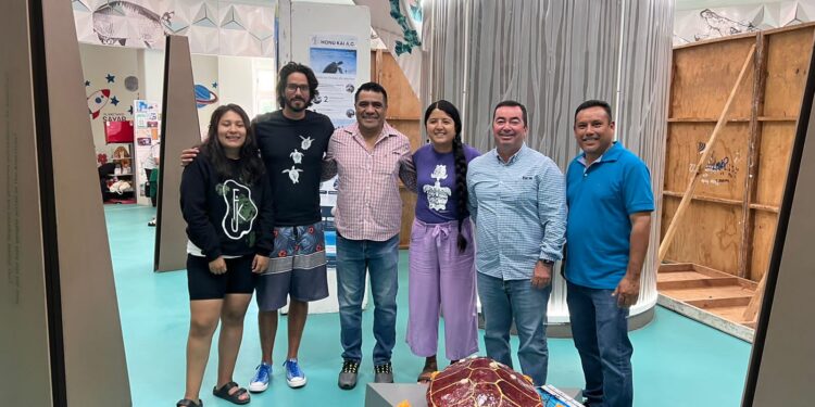 “Efectos de las luces artificiales en la anidación de tortugas marinas en Los Cabos, Baja California Sur: enfoque hacia una gestión turística sostenible”