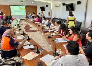 la 1ra Sesión Ordinaria del Consejo Municipal del Sistema de Protección Integral de Niñas, Niños y adolescentes de Los Cabos de este 2023
