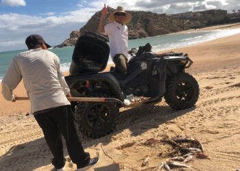 El Gobierno de Los Cabos  ha puesto en marcha los trabajos para la rehabilitación de playas luego del paso del huracán “Norma”.