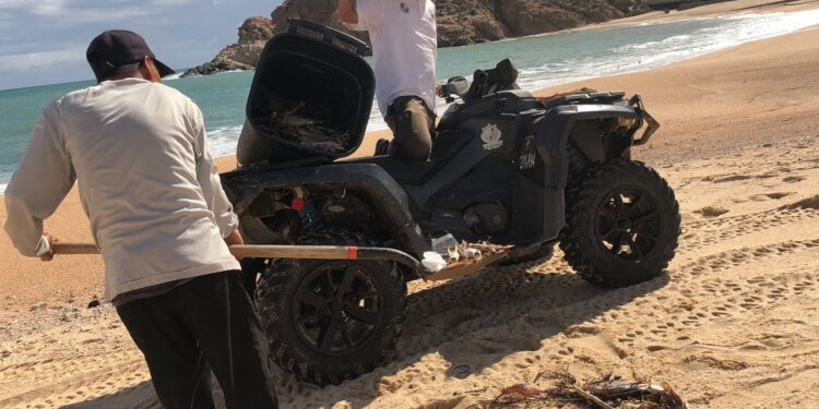 El Gobierno de Los Cabos  ha puesto en marcha los trabajos para la rehabilitación de playas luego del paso del huracán “Norma”.