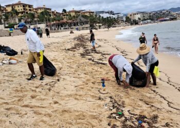 Fortalecen los trabajos para el retiro de residuos sólidos en las playas