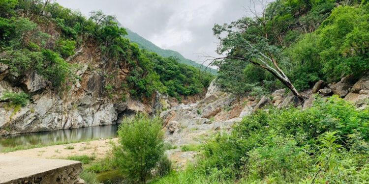 Se han presentado casos de dengue en diversos puntos del municipio