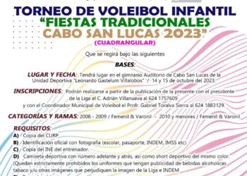 Torneo de voleibol infantil