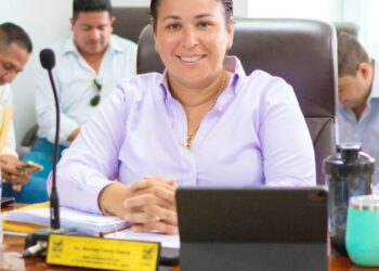La síndica municipal Alondra Torres García dio a conocer que no es la dependencia a su cargo la que otorga la valuación a las áreas de donación, esta labor corresponde a quienes son especialistas en el tema: peritos valuadores, cabe destacar que no son personas trabajadoras del municipio.