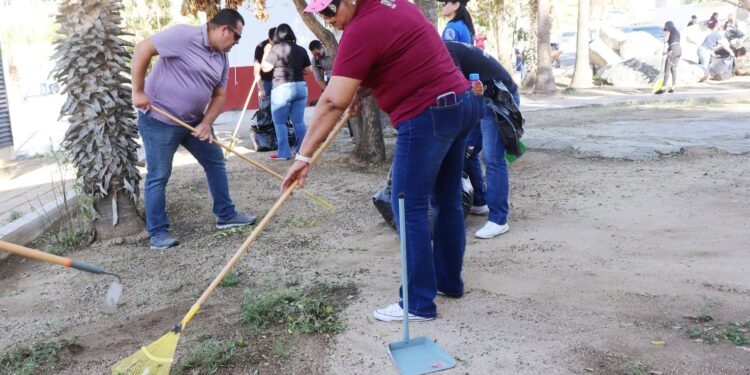Los Cabos trabaja en la rehabilitación de vialidades y colonias del municipio después del paso del huracán Norma