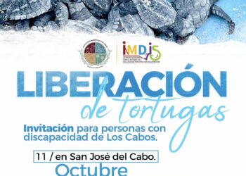 para el fortalecimiento de la inclusión y bienestar de las personas con discapacidad de Los Cabos, a través del Instituto Municipal para la Inclusión y Desarrollo de Personas con Discapacidad (IMDIS) en colaboración con la Dirección General de Ecología y Medio Ambiente, ya se encuentran listos para liberar tortugas en San José del Cabo y Cabo San Lucas este 11 y 12 de