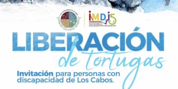 para el fortalecimiento de la inclusión y bienestar de las personas con discapacidad de Los Cabos, a través del Instituto Municipal para la Inclusión y Desarrollo de Personas con Discapacidad (IMDIS) en colaboración con la Dirección General de Ecología y Medio Ambiente, ya se encuentran listos para liberar tortugas en San José del Cabo y Cabo San Lucas este 11 y 12 de