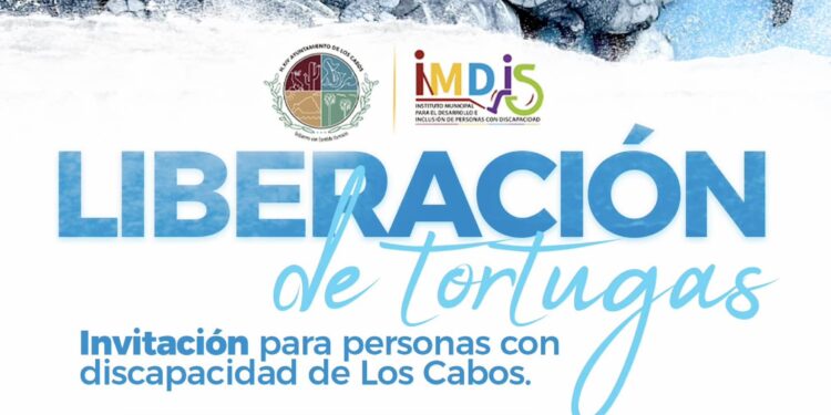 para el fortalecimiento de la inclusión y bienestar de las personas con discapacidad de Los Cabos, a través del Instituto Municipal para la Inclusión y Desarrollo de Personas con Discapacidad (IMDIS) en colaboración con la Dirección General de Ecología y Medio Ambiente, ya se encuentran listos para liberar tortugas en San José del Cabo y Cabo San Lucas este 11 y 12 de