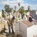 Realizan tareas de limpieza en los diversos panteones del municipio