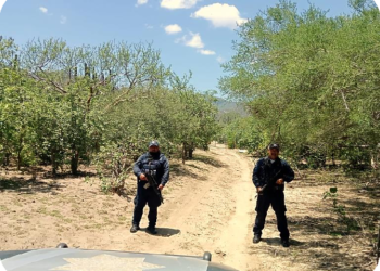 Diversas instituciones de los 3 niveles de Gobierno se unen para mantener la paz y el orden en las rancherías del municipio de Los Cabos.