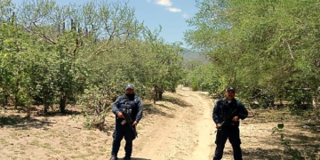Diversas instituciones de los 3 niveles de Gobierno se unen para mantener la paz y el orden en las rancherías del municipio de Los Cabos.