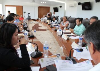 Durante la sesión de la Junta de Gobierno del Instituto Municipal de Asuntos Indígenas y Afromexicanos (IMAIA) encabezada por el presidente municipal Oscar Leggs Castro, se dio a conocer el reporte financiero del Instituto