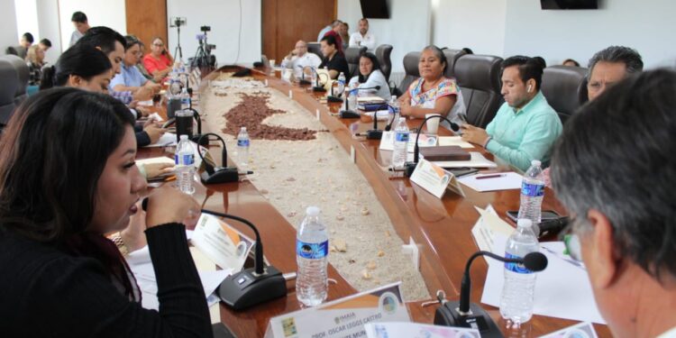 Durante la sesión de la Junta de Gobierno del Instituto Municipal de Asuntos Indígenas y Afromexicanos (IMAIA) encabezada por el presidente municipal Oscar Leggs Castro, se dio a conocer el reporte financiero del Instituto