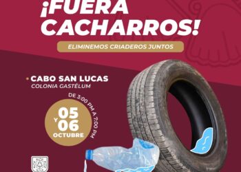 Inicio la campaña de decacharrización