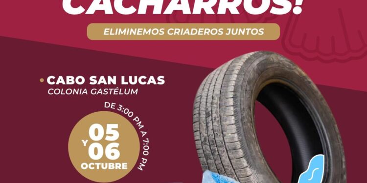 Inicio la campaña de decacharrización