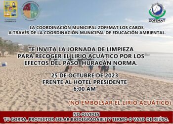 Se hace una cordial invitación a la población en general a unirse a la campaña de limpieza para retirar el lirio acuático expulsado hacia la playa frente al Estero de San José del Cabo este miércoles 25 de octubre a las 6:00 de la mañana.