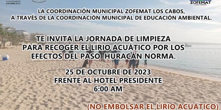 Se hace una cordial invitación a la población en general a unirse a la campaña de limpieza para retirar el lirio acuático expulsado hacia la playa frente al Estero de San José del Cabo este miércoles 25 de octubre a las 6:00 de la mañana.