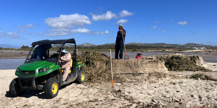 Los beneficios que dejó el paso del huracán “Norma” por el municipio de Los Cabos, fue la expulsión de aproximadamente un 80% del lirio acuático de la Reserva Ecológica Estatal Estero San José del Cabo (REEESJC)