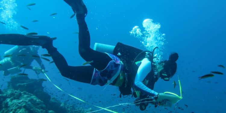 Por cerrar registro de aspirantes que deseen estudiar programas relacionados con las ciencias marinas y costeras en la UABCS