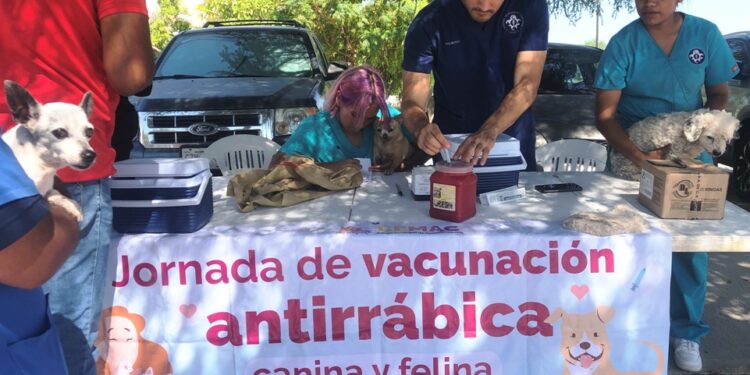 Aplica el CEMAC más de mil vacunas antirrábicas en colonias al Sur de la Ciudad