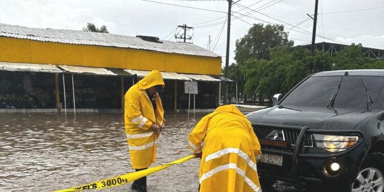 Atendió Protección Civil diversos reportes el domingo 08 de octubre