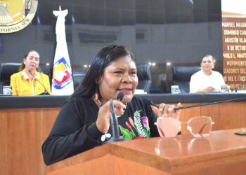 Llama Diputada Eufrocina López Velasco a conciencia ciudadana para frenar feminicidios