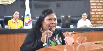 Llama Diputada Eufrocina López Velasco a conciencia ciudadana para frenar feminicidios