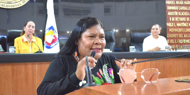 Llama Diputada Eufrocina López Velasco a conciencia ciudadana para frenar feminicidios