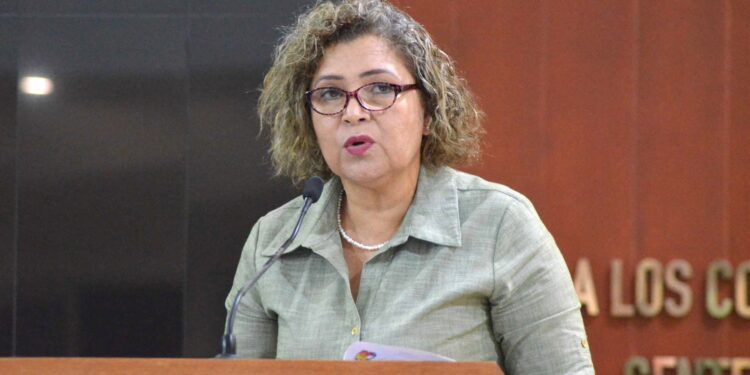 Piden perspectiva de género en el presupuesto estatal así como visibilizar la aplicación y desempeño de los distintos programas en BCS&nbsp;