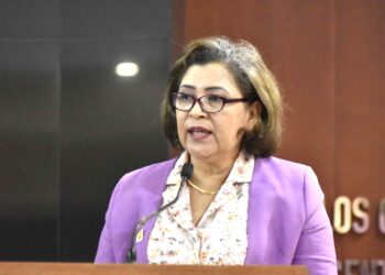 Pide Diputada María Luisa Ojeda que se cumpla Ley 3 de 3