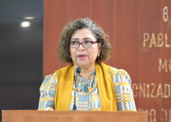 Urge crear los registros estatales de deudores alimentarios, deudores alimentarios morosos&nbsp; y violentadores: Diputada María Luisa Ojeda González