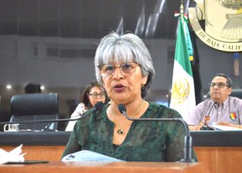 Pide Diputada María Luisa Trejo clarificar el texto del artículo 206 del Código Penal del Estado