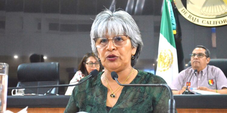 Pide Diputada María Luisa Trejo clarificar el texto del artículo 206 del Código Penal del Estado