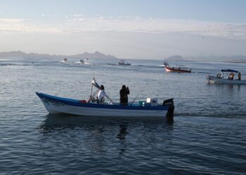REAFIRMA GOBIERNO DEL ESTADO, RECHAZO A INICIATIVA DE REFORMA A LEY GENERAL DE PESCA Y ACUACULTURA SUSTENTABLE