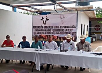 DESARROLLO PRODUCTIVO CON ORGANIZACIÓN Y TRABAJO CONJUNTO: JABB