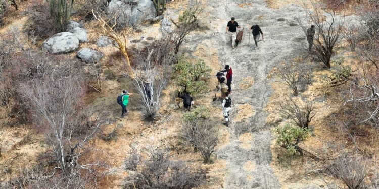 REFRENDA GOBIERNO DE BCS, COMPROMISO EN MATERIA DE BÚSQUEDA DE PERSONAS: CEBP