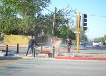 PARTICIPAN MÁS DE 5 MIL SERVIDORES PÚBLICOS EN JORNADA DE LIMPIEZA “LA CIUDAD TE NECESITA”